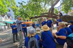 IMG-20250809-WA0017